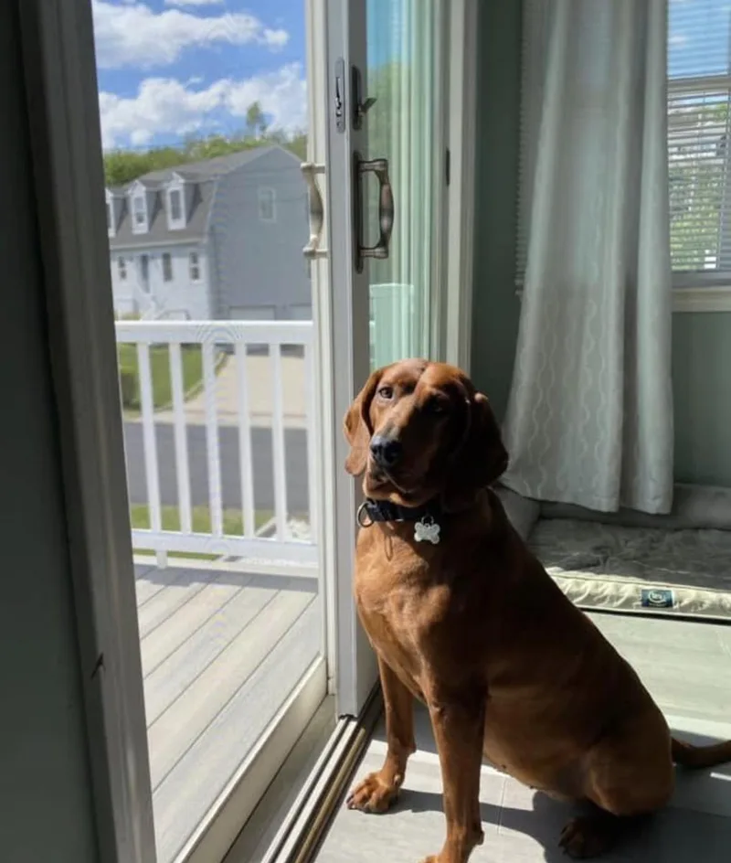 Penny Ruby Rose  thumbnail 5