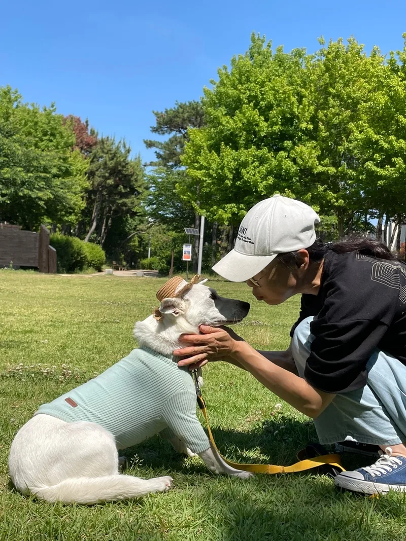 Sunny thumbnail 4