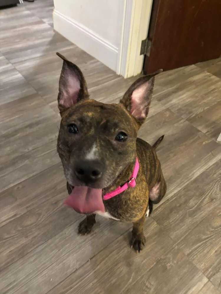 Shanghai thumbnail 2