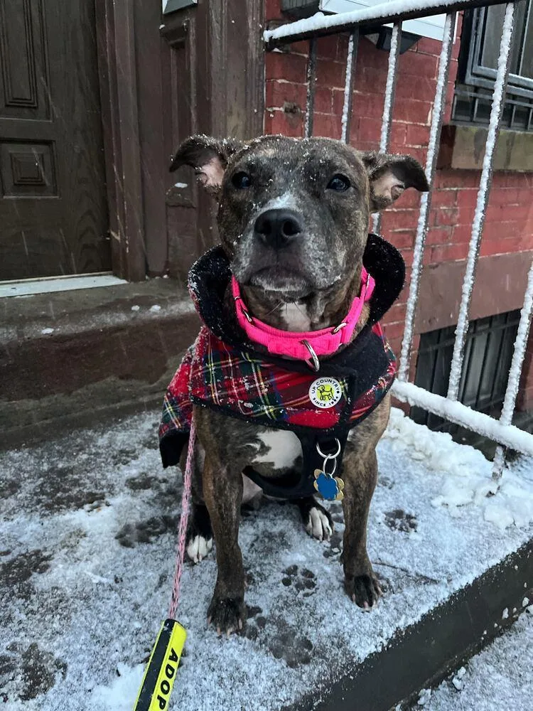 Shanghai thumbnail 3