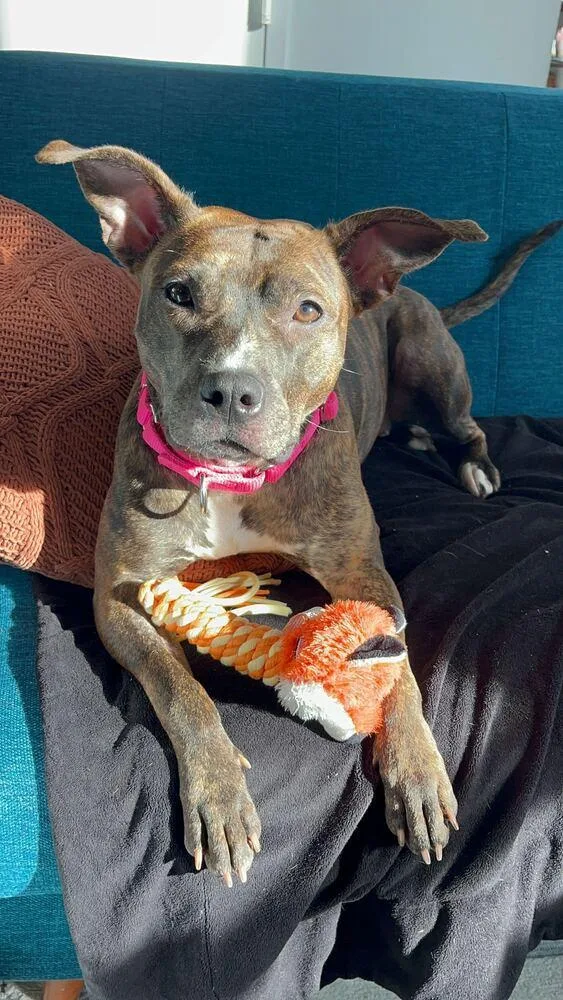 Shanghai thumbnail 5