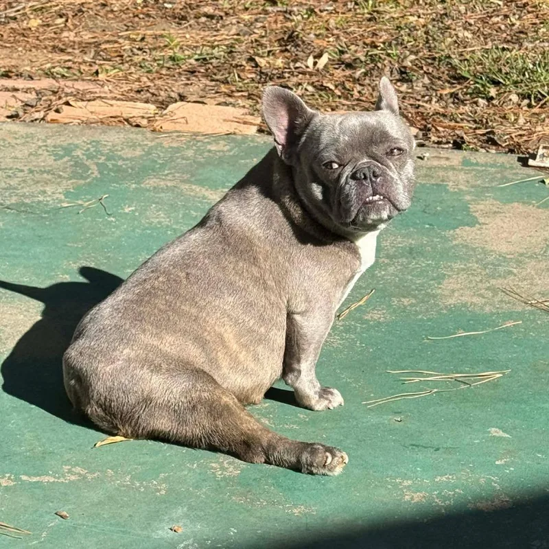 Yaya Chanel thumbnail 2