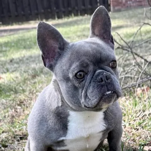 Yaya Chanel thumbnail 3