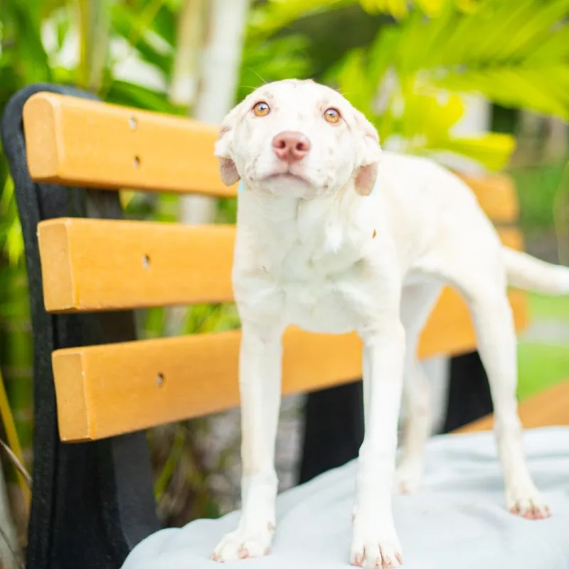 Honeybun thumbnail 2