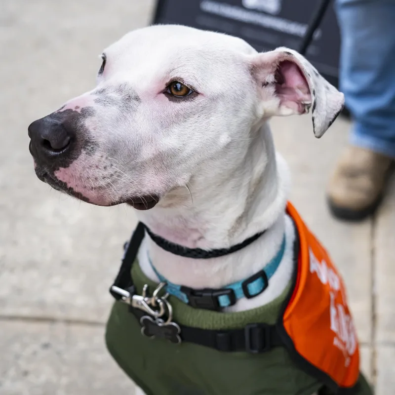 Treasure Chest thumbnail 3