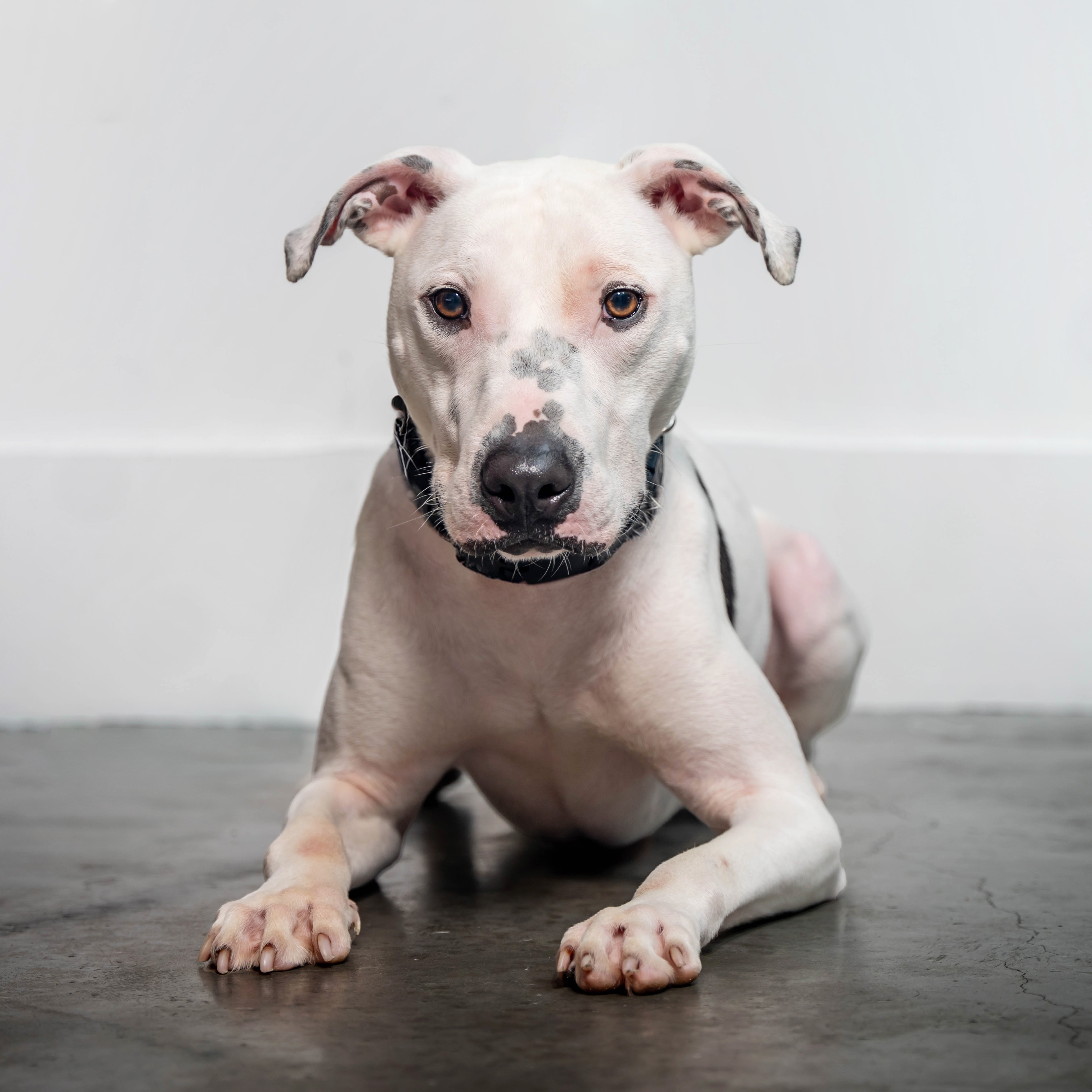 Treasure Chest thumbnail 5