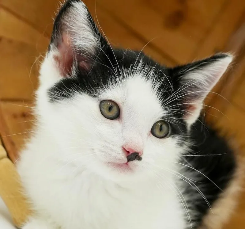Charlie Is A Smushy thumbnail 5