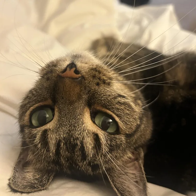 Margaret thumbnail 3