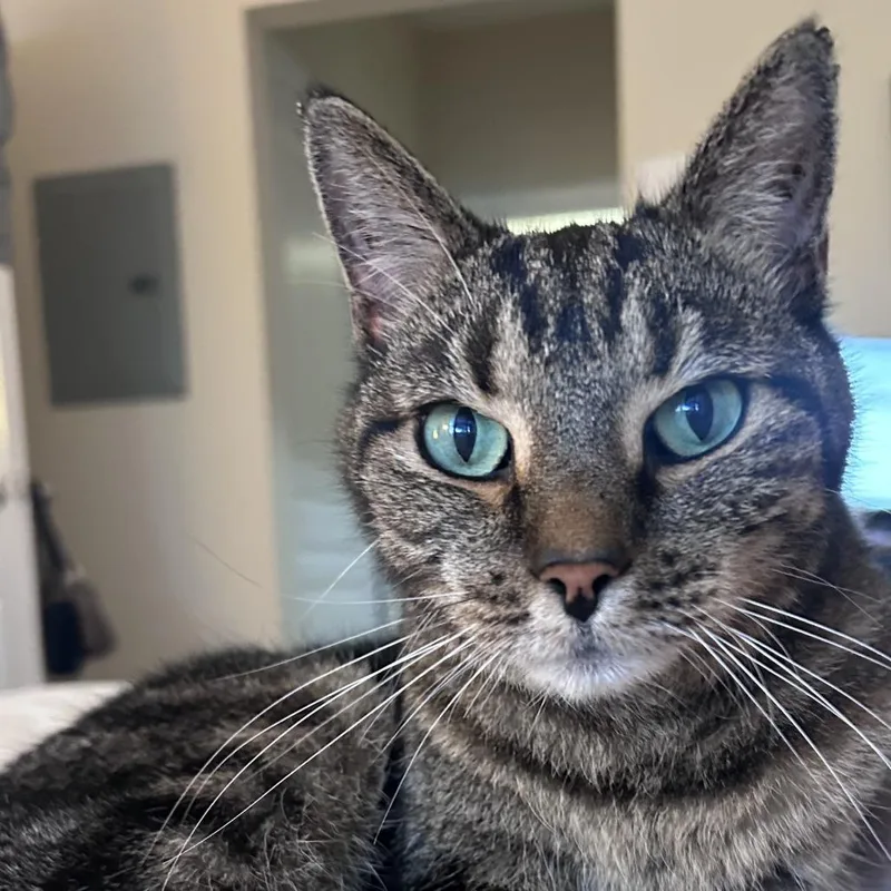 Margaret thumbnail 4