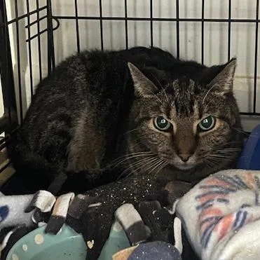 Margaret thumbnail 5