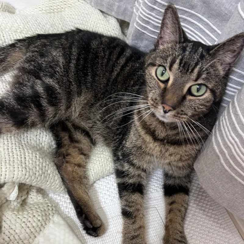 Margaret thumbnail 6