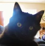 Zack thumbnail 2