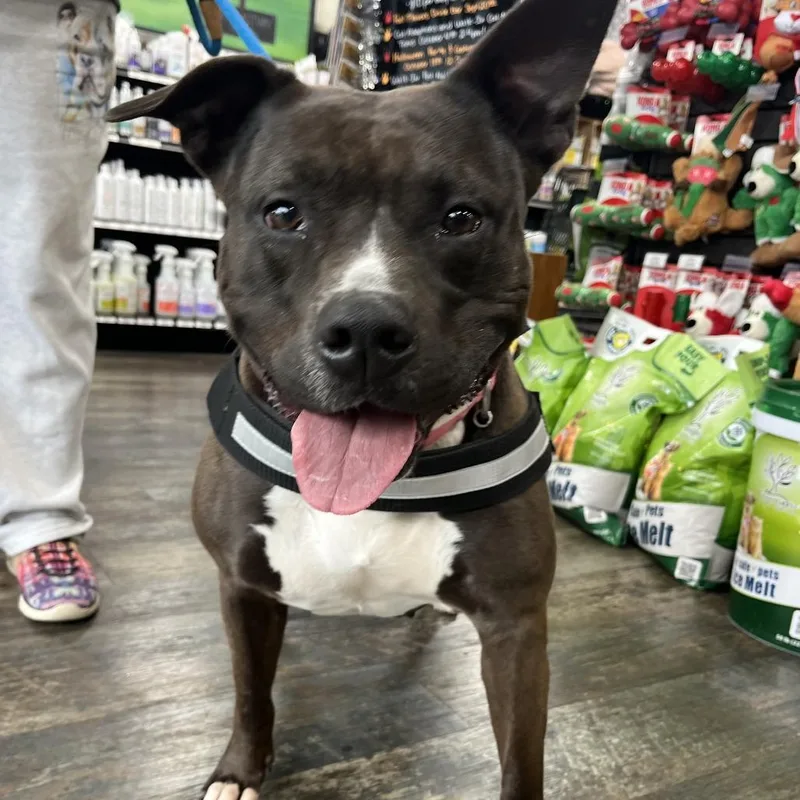 Juno Ball Driven thumbnail 3