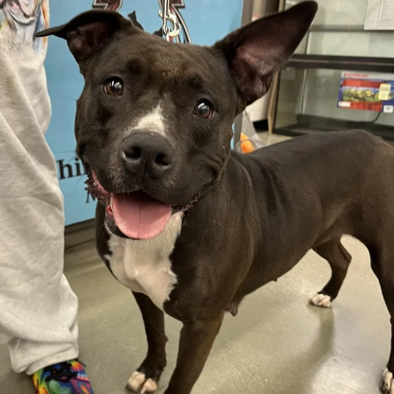 Juno Ball Driven thumbnail 6