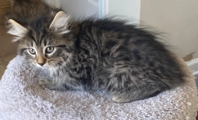 Jack Hughes thumbnail 2