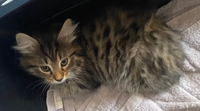 Jack Hughes thumbnail 3