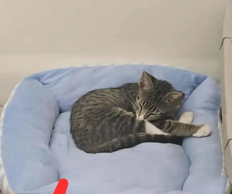 Serenity thumbnail 2