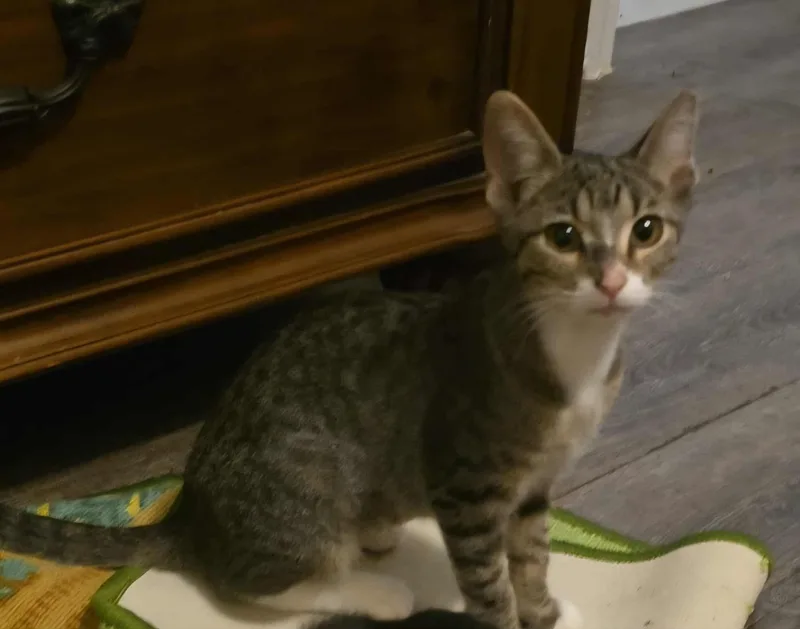 Serenity thumbnail 3