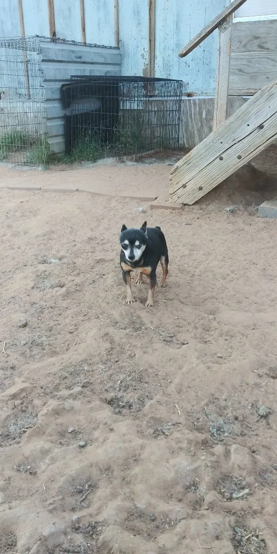 Berny thumbnail 2