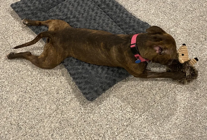 Sparkles thumbnail 2