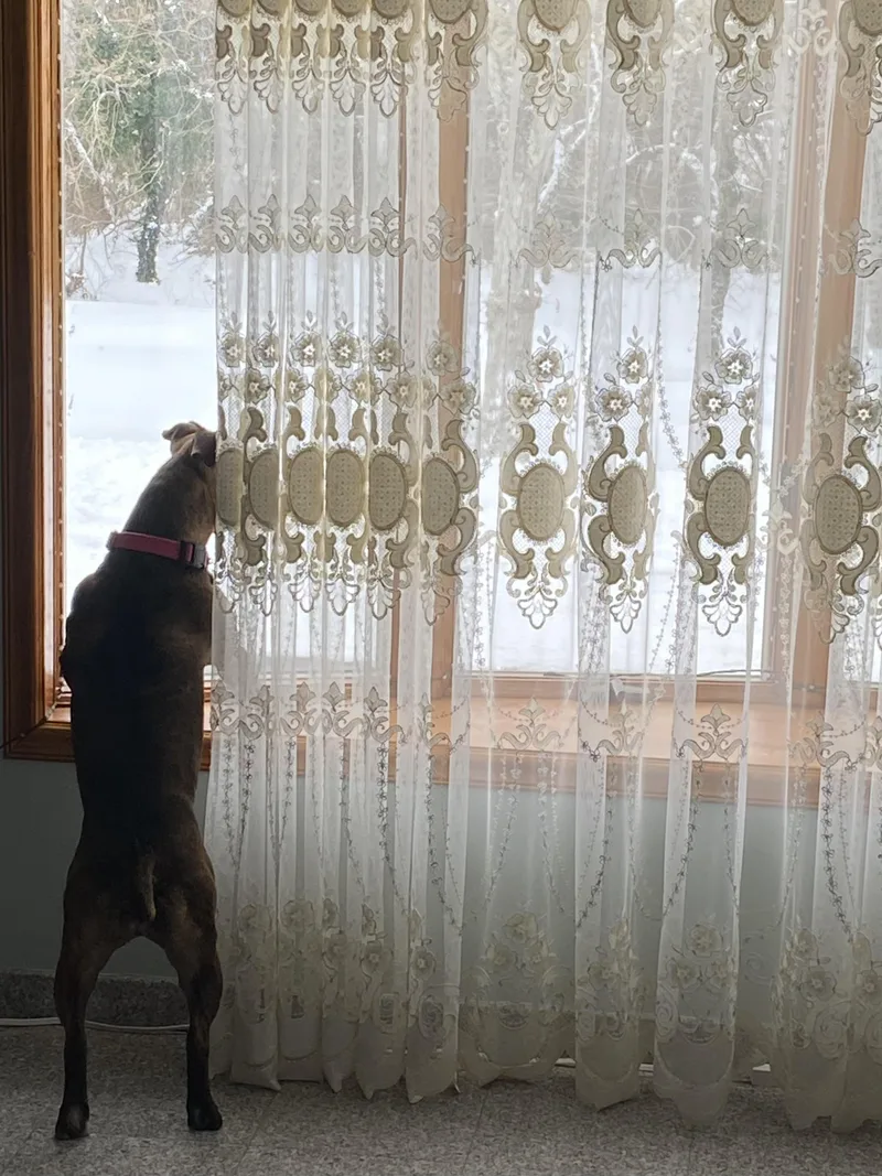 Sparkles thumbnail 3