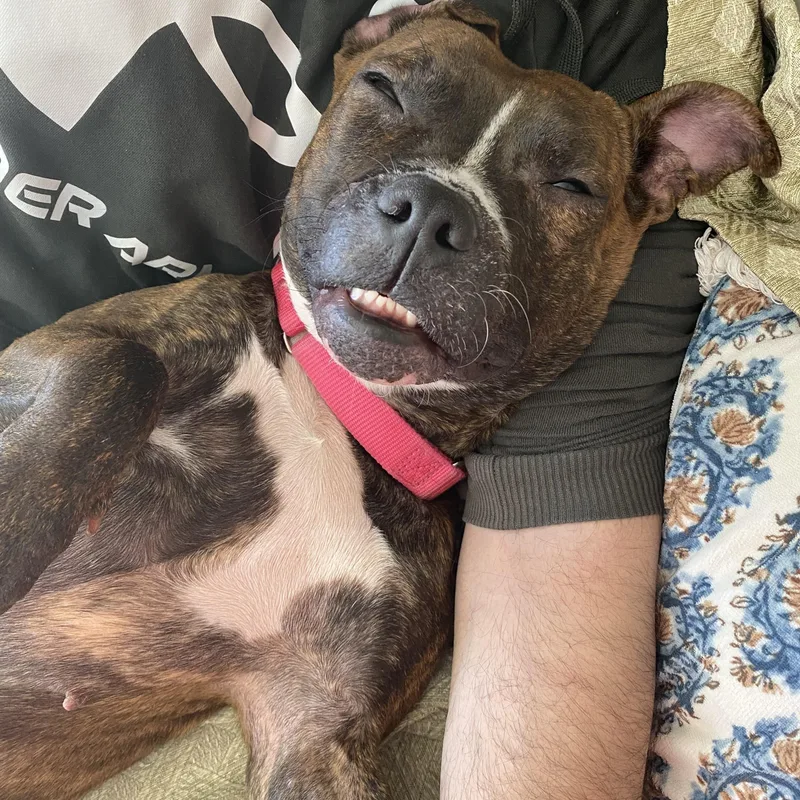 Sparkles thumbnail 4