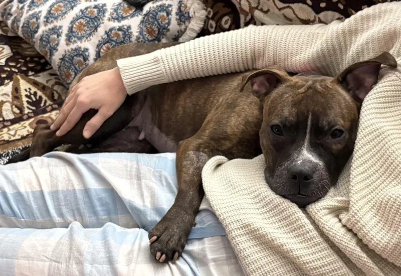 Sparkles thumbnail 5