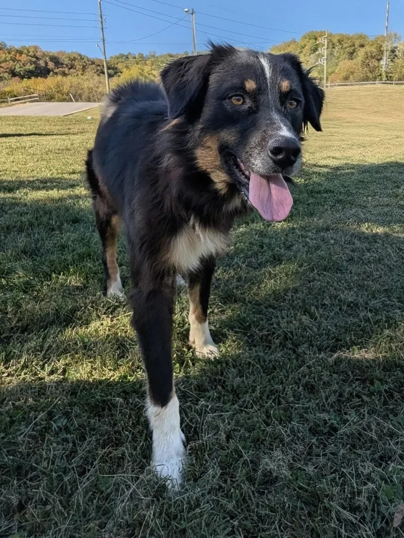 Sweet Sadie thumbnail 2