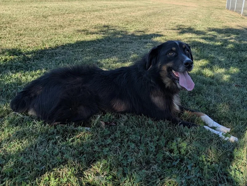 Sweet Sadie thumbnail 5