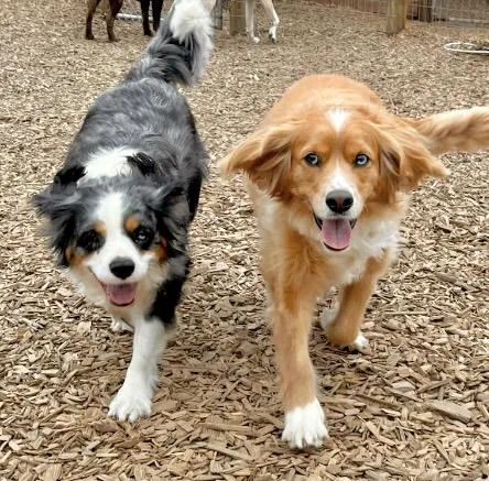 Dottie & Newman thumbnail 2