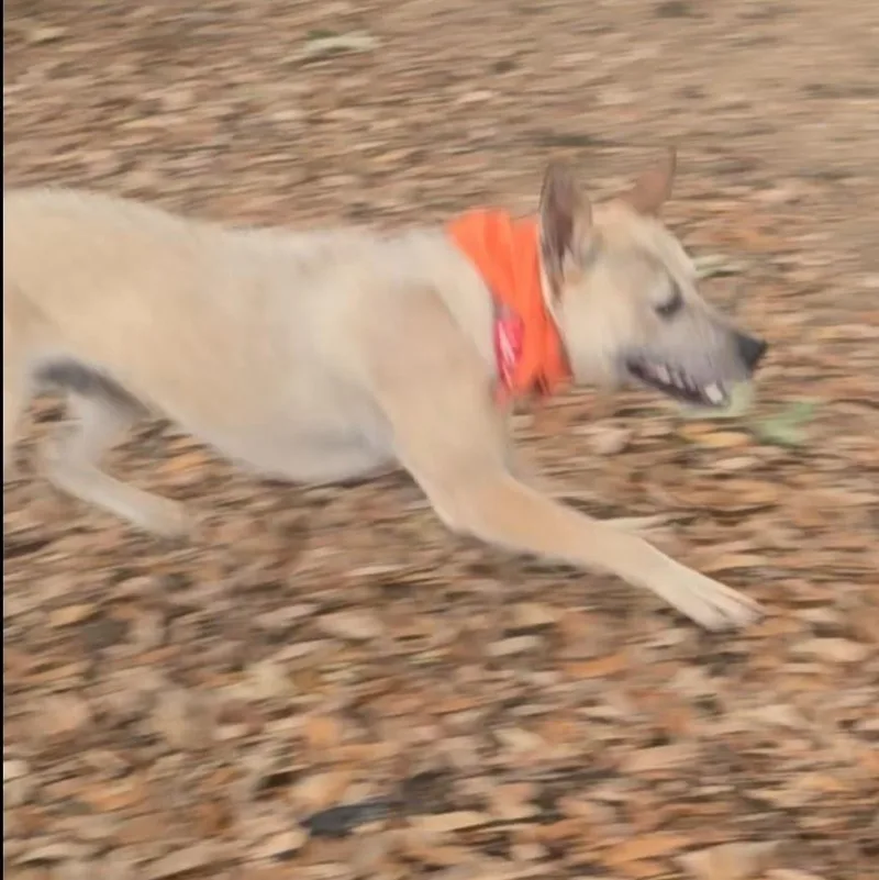 Wally thumbnail 5