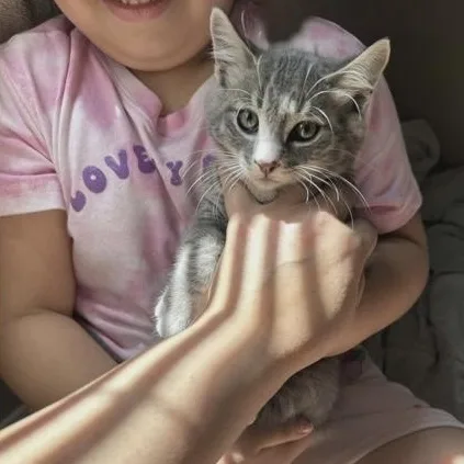 Caz