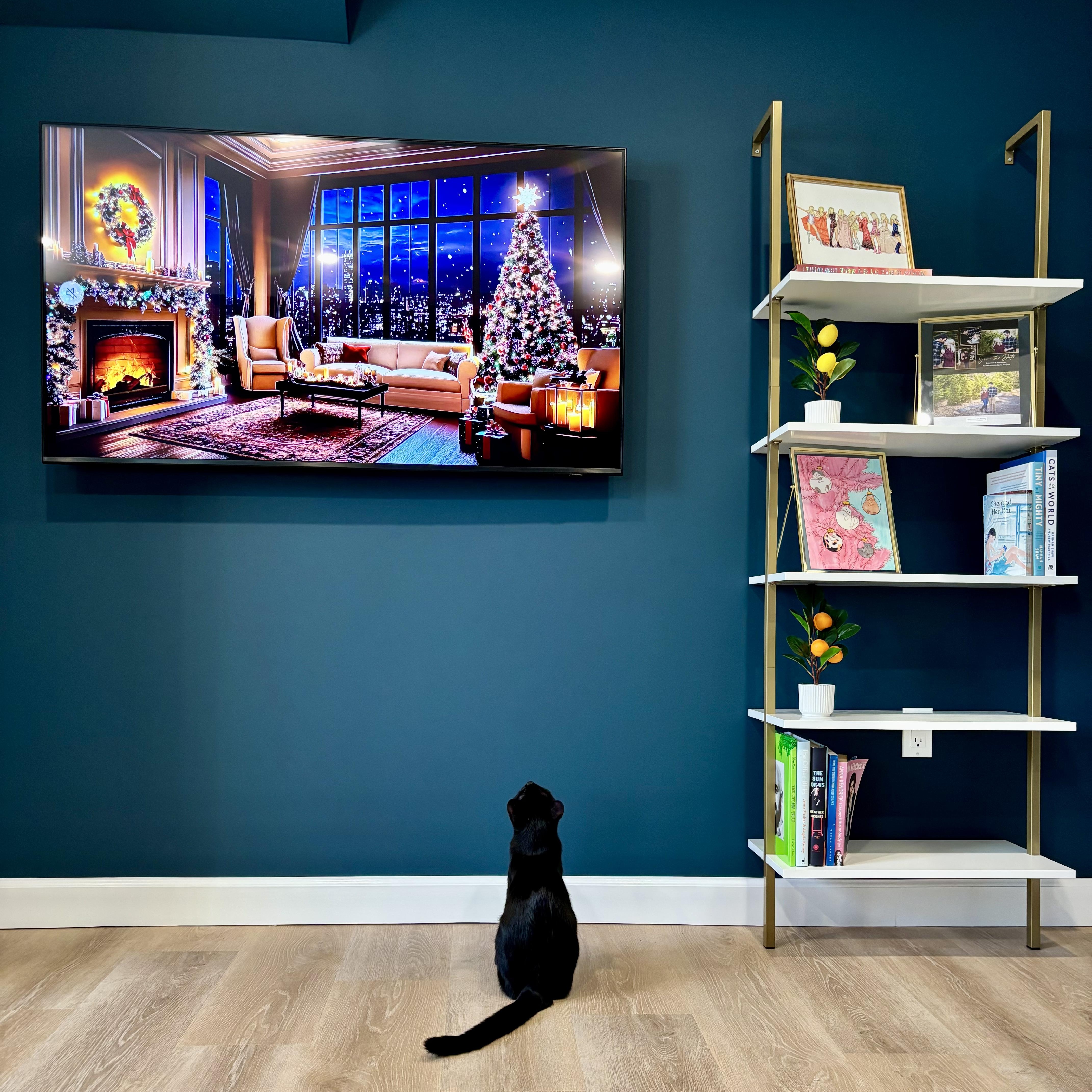 Rocky & Oscar thumbnail 4