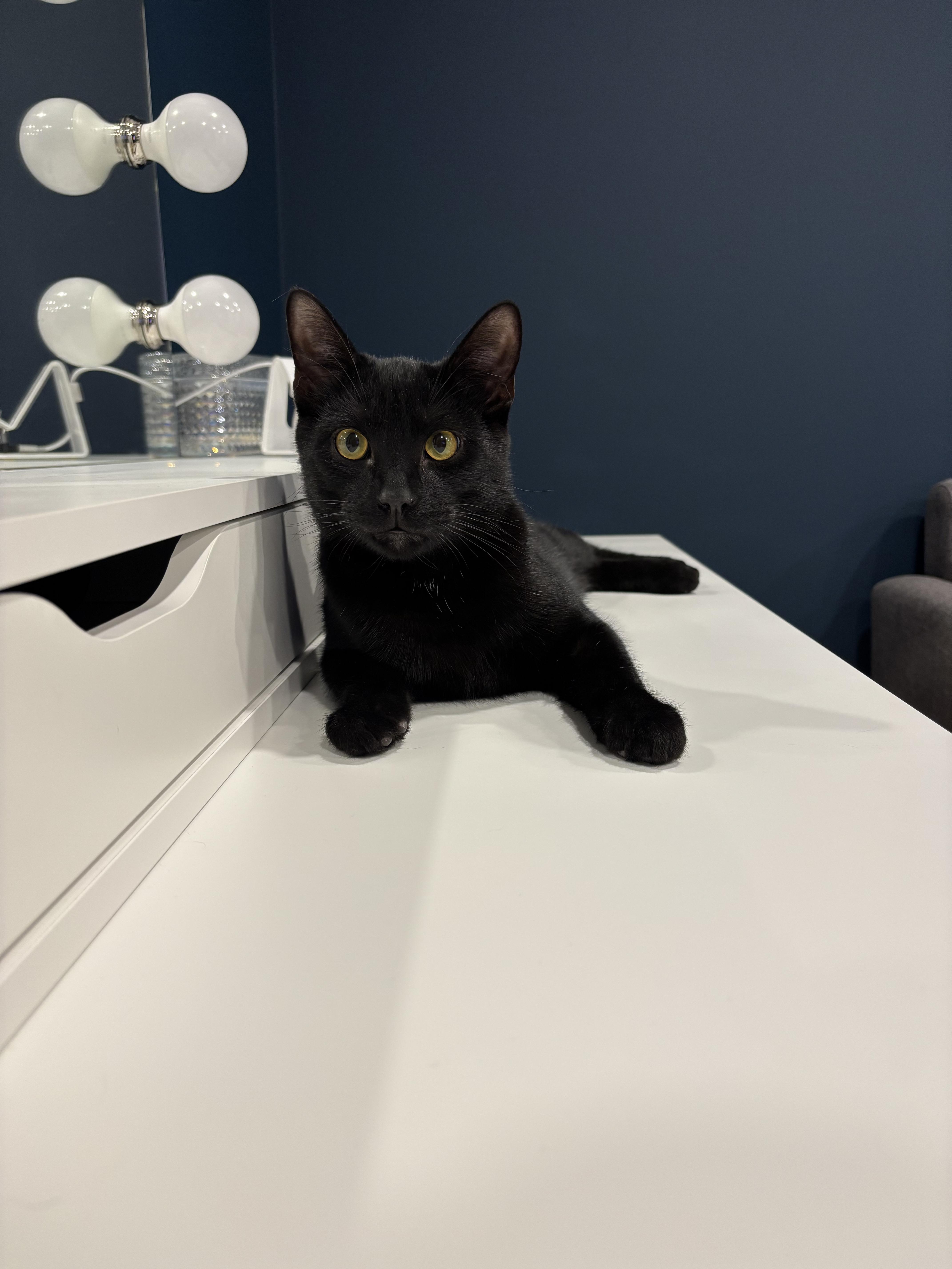 Rocky & Oscar thumbnail 5