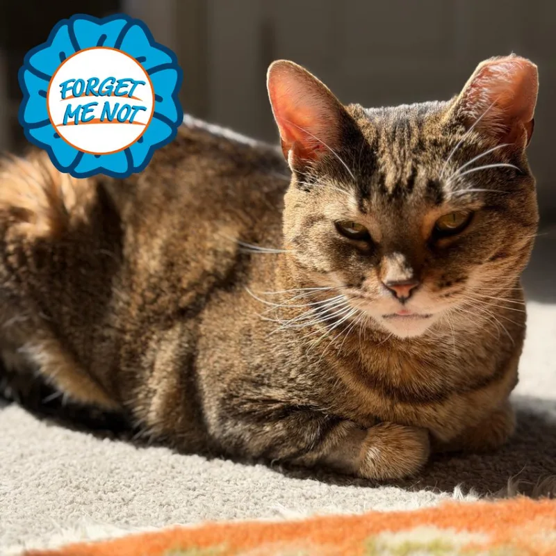 Spicy Chicken Beans And thumbnail 3