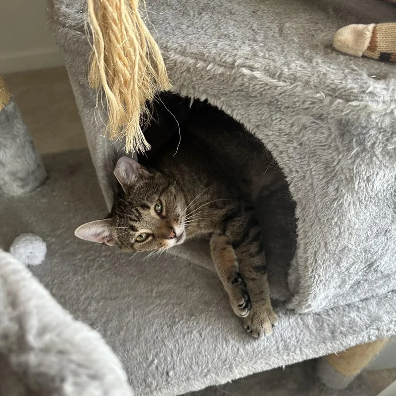 Spicy Chicken Beans And thumbnail 5