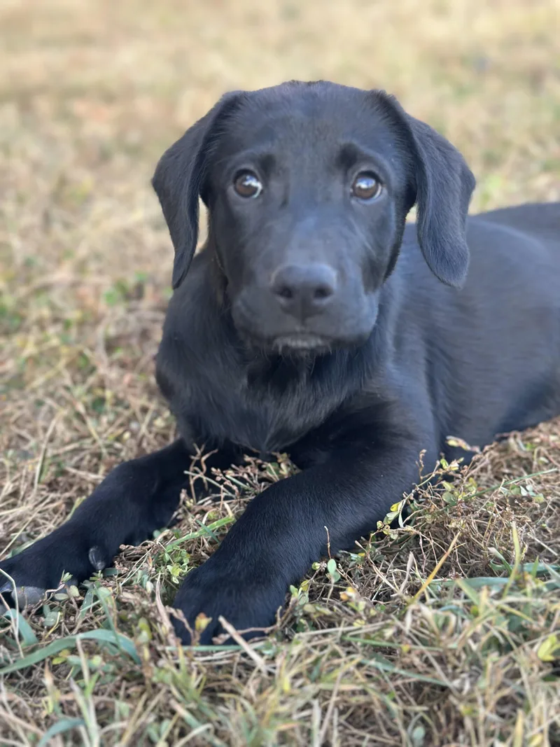 Maggie thumbnail 3