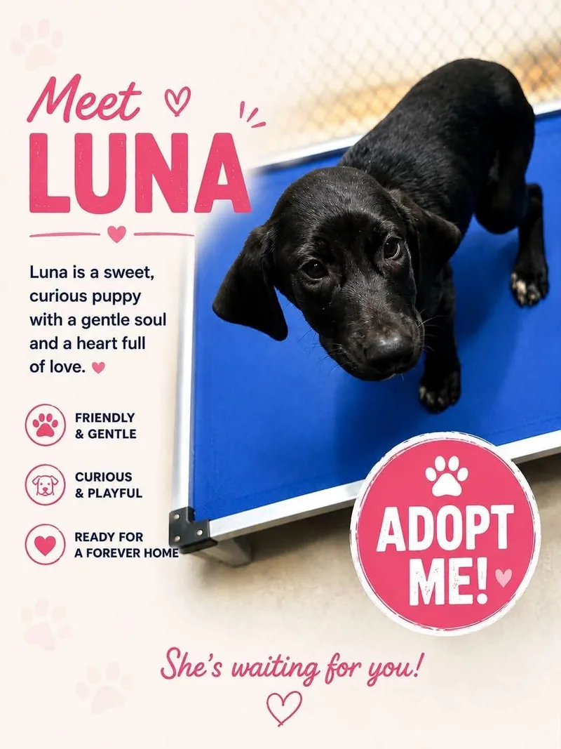 Luna thumbnail 3