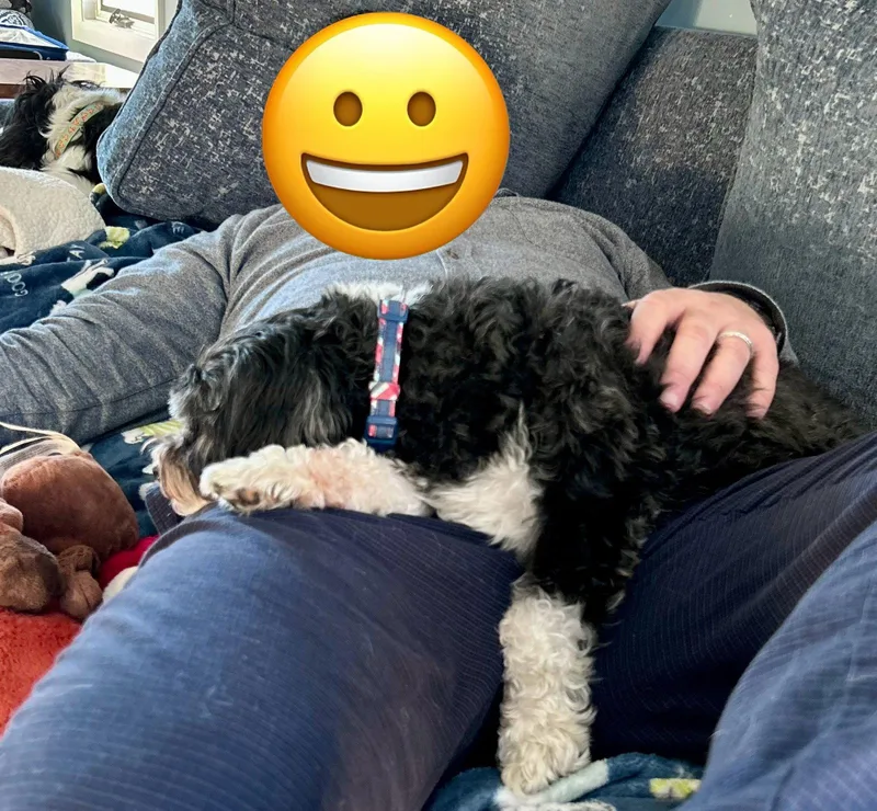 Goose Zeus thumbnail 3