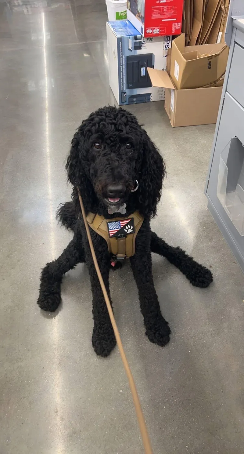 Kingston thumbnail 3