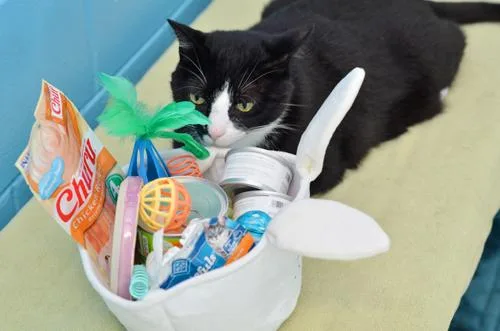 Sour Patch thumbnail 2