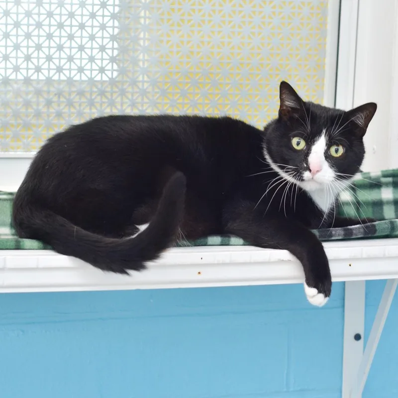 Sour Patch thumbnail 3