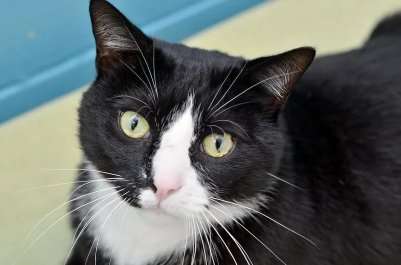 Sour Patch thumbnail 4