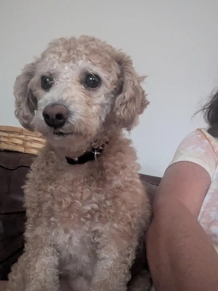 Lulu fka Lumos thumbnail 3