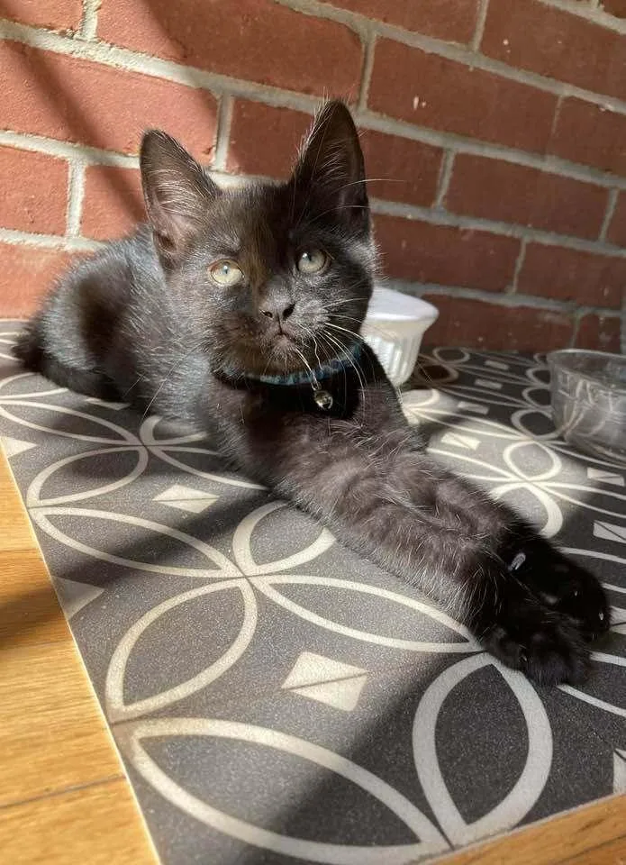 Winston