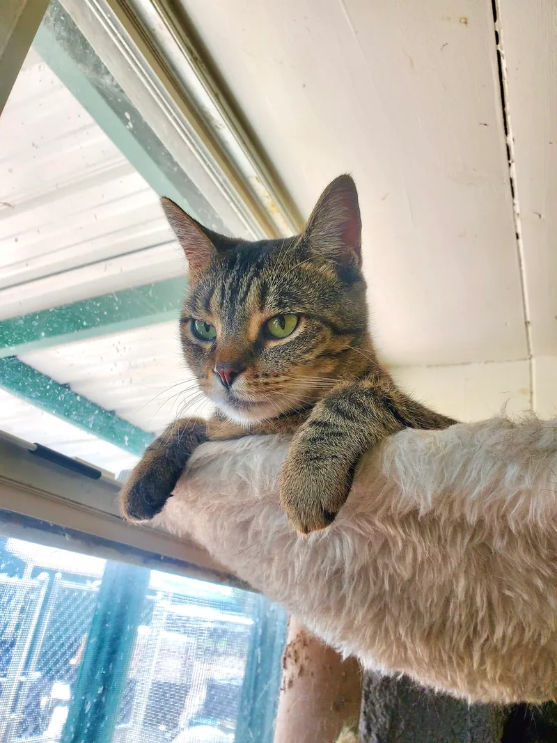 Mckenzie thumbnail 2