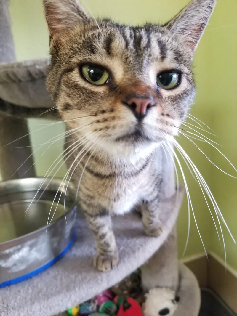 Mckenzie thumbnail 3