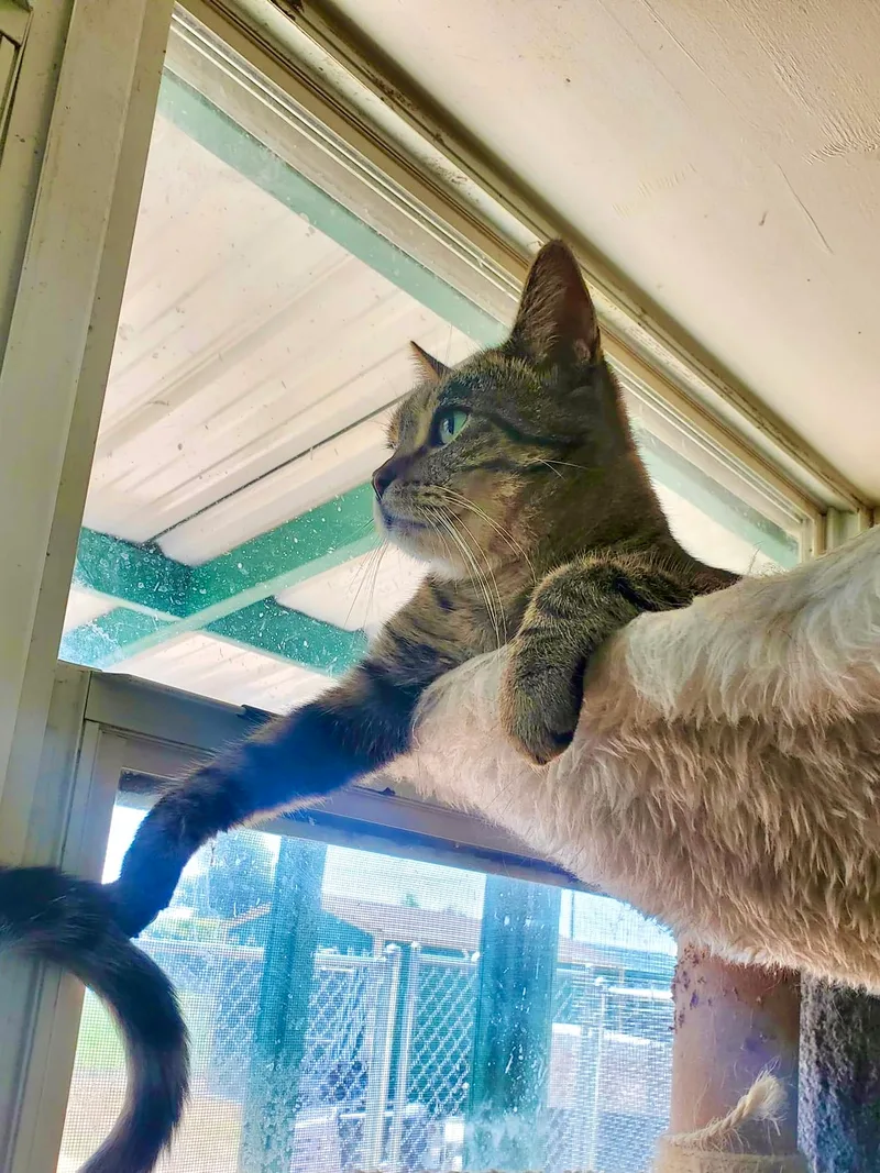 Mckenzie thumbnail 4