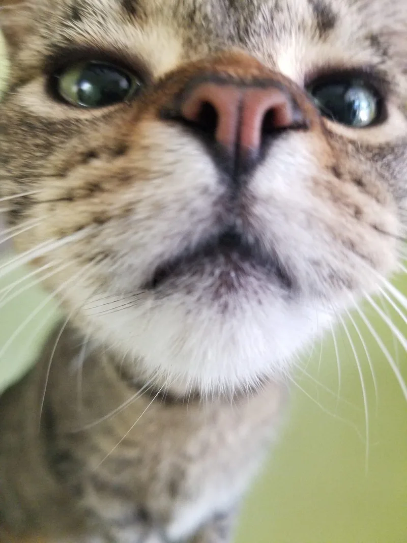 Mckenzie thumbnail 6