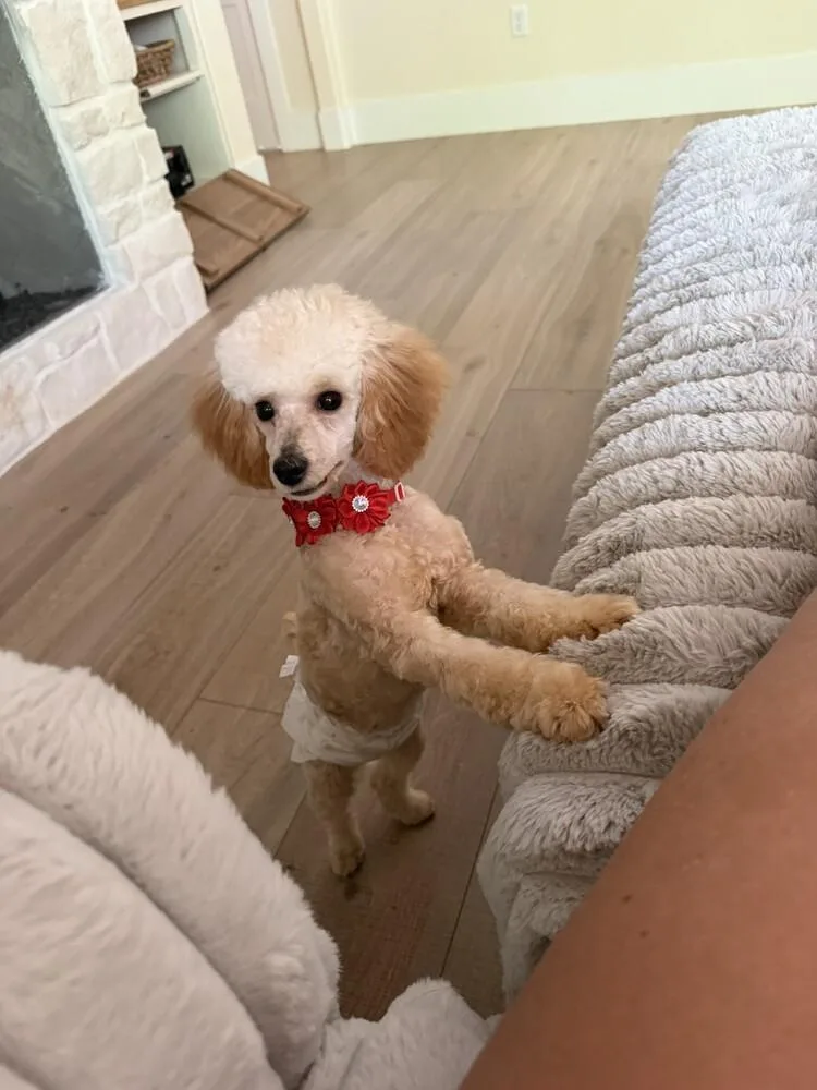 Benny